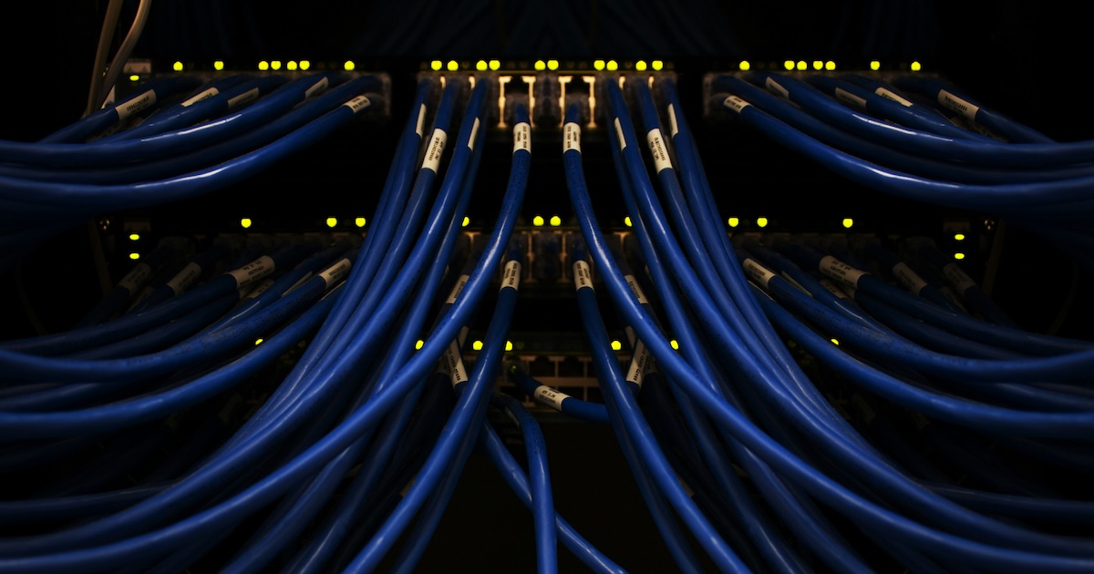 Close-up of organized blue network cables connected to a server with glowing indicator lights, representing a secure and reliable networking setup.